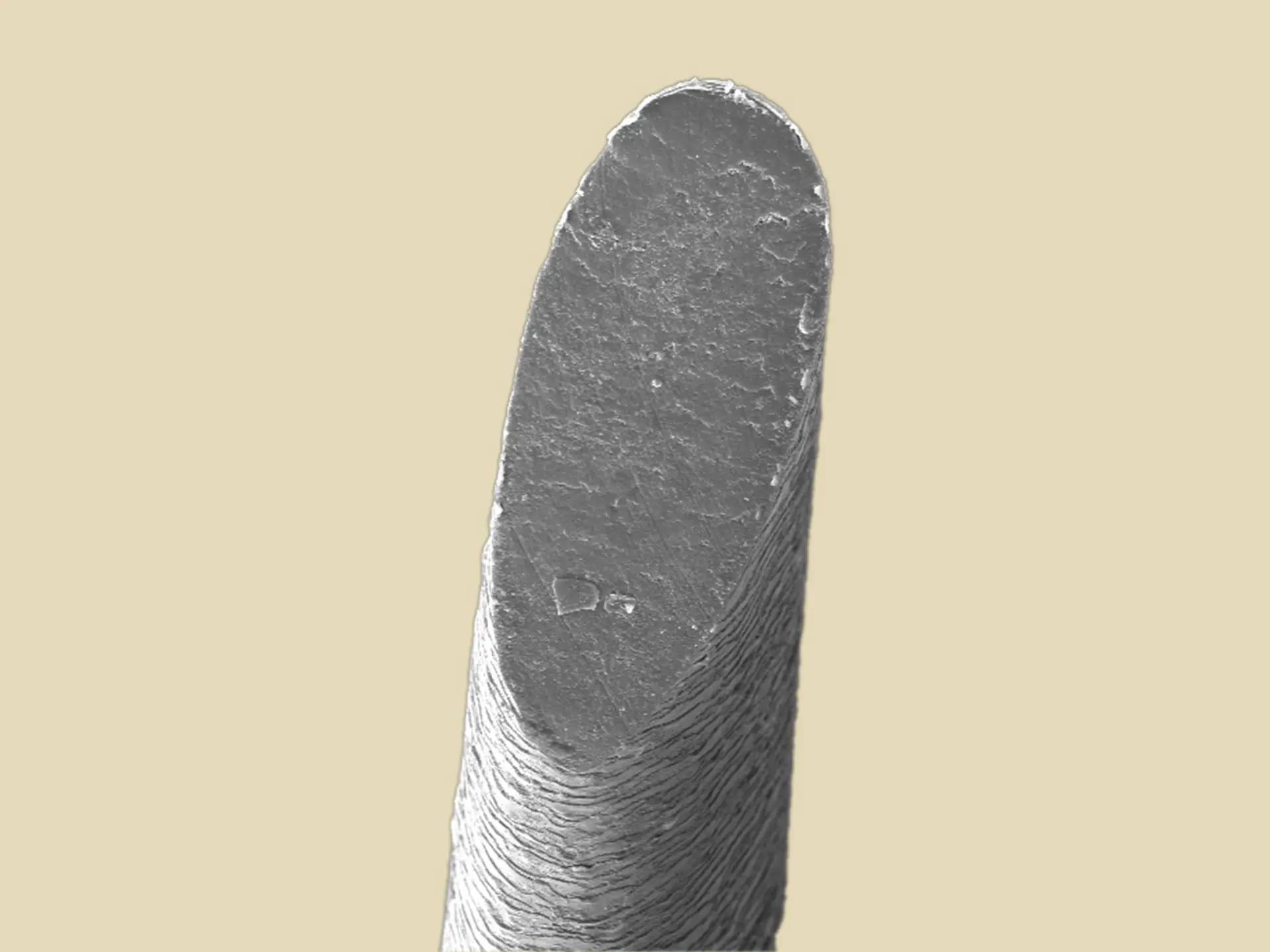 calligraphy cut la biosthetique 13